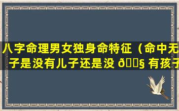 八字命理男女独身命特征（命中无子是没有儿子还是没 🐧 有孩子）